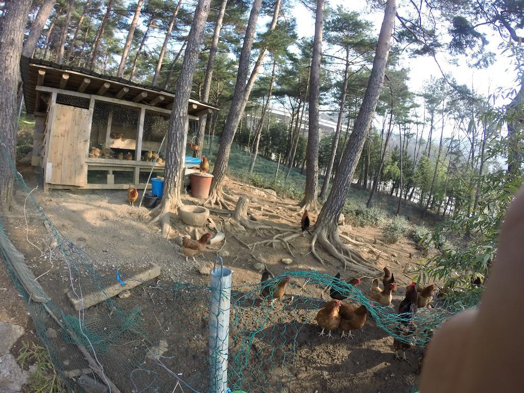 מלון Boseong Korean Traditional House - Chungnokdang מראה חיצוני תמונה
