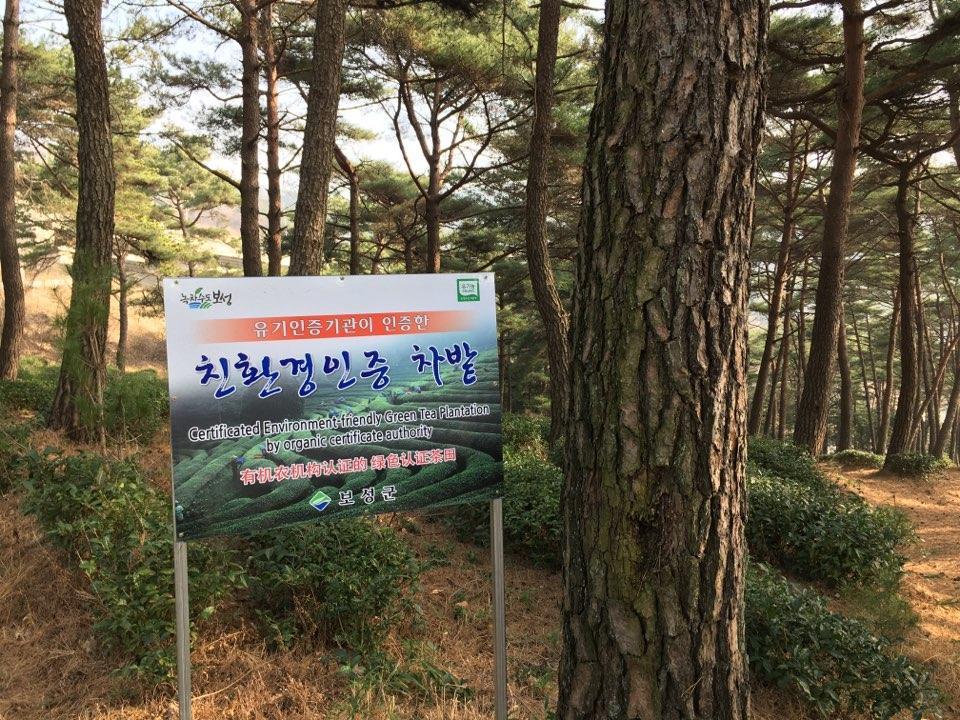 מלון Boseong Korean Traditional House - Chungnokdang מראה חיצוני תמונה