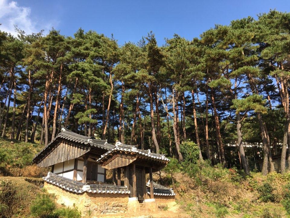 מלון Boseong Korean Traditional House - Chungnokdang מראה חיצוני תמונה